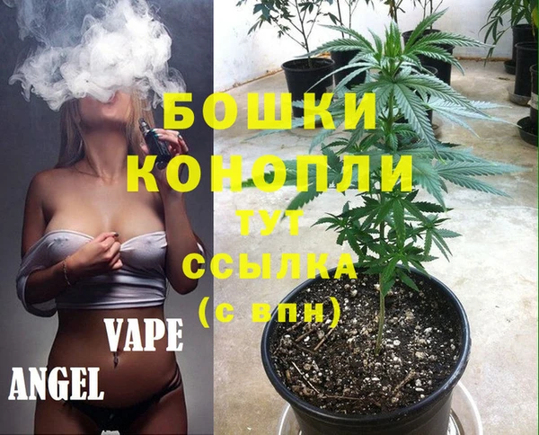 твердый Богородск