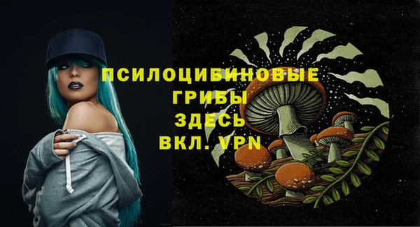 COCAINE Богданович