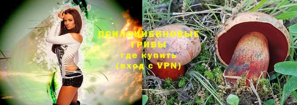 твердый Богородск