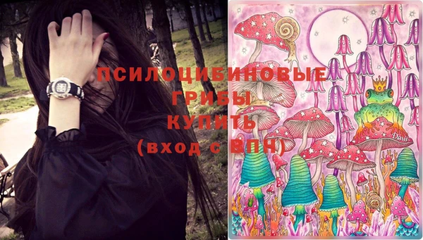 твердый Богородск