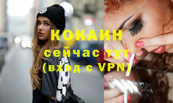 кокс Богородицк